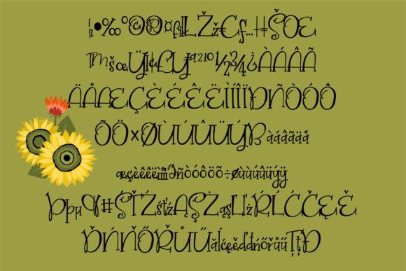 Bellinghaus Font - Preview 3