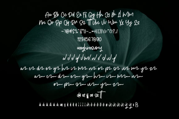 Colintha Font - Preview 5