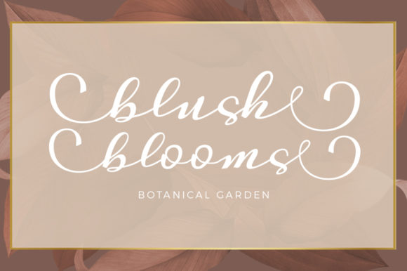 Desintona Script Font - Preview 2