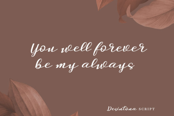 Desintona Script Font - Preview 5