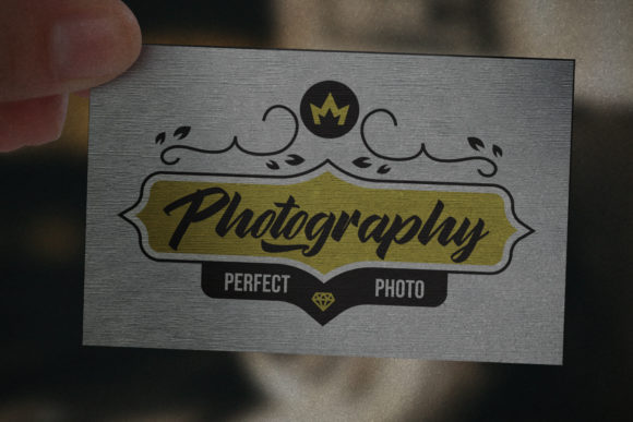 Brylion Script Font - Preview 2