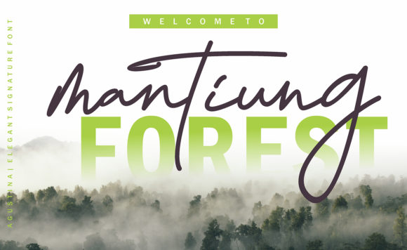 Agustina Signature Font - Preview 4