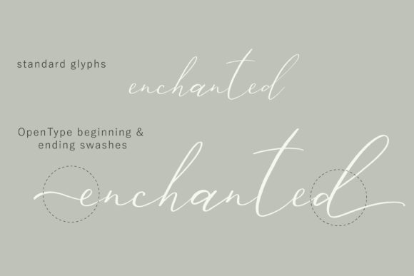 Ailre Heleris Font - Preview 1