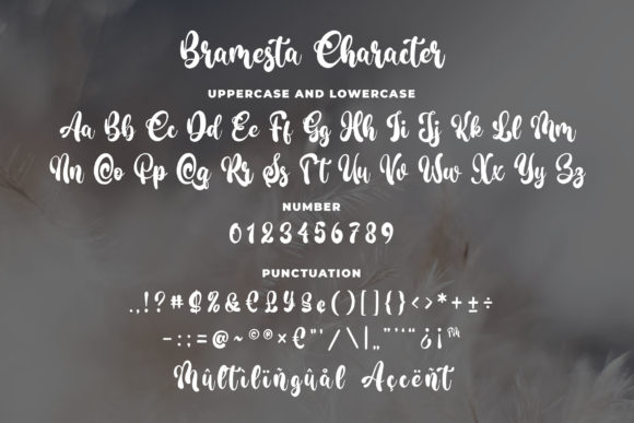 Bramesta Font - Preview 4