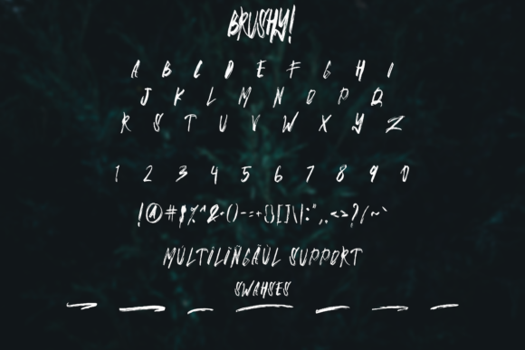 Brushy Font - Preview 4