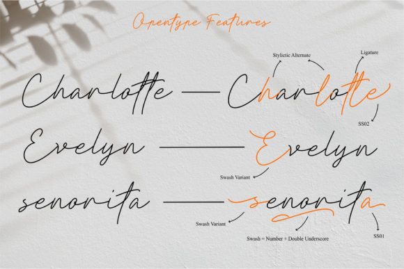 Clathyn Keith Signature Font - Preview 3