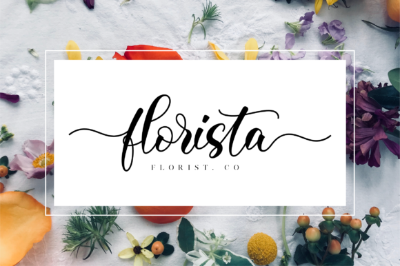 Clarista Script Font - Preview 3
