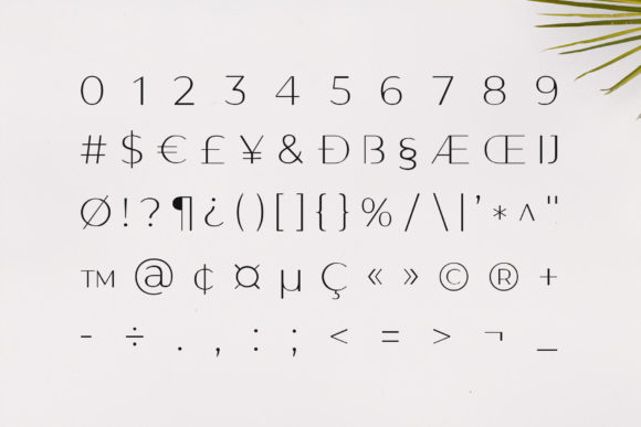 Gantic Font - Preview 3