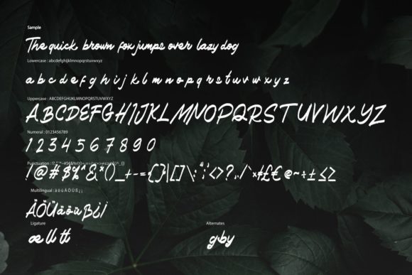 Haned Font - Preview 5