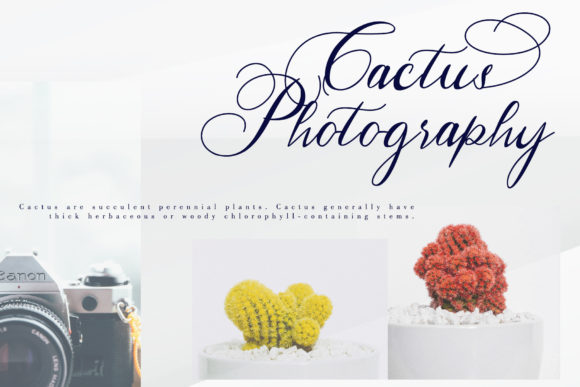 Hertina Font PNG with transparent background - Preview 5
