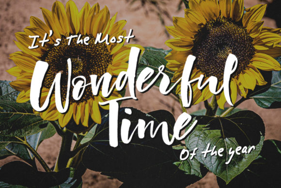 Butterscotch Font - Preview 2