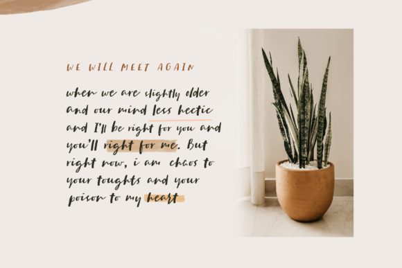 Sachie Font font preview - 5