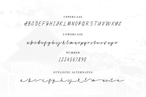 Cocoharper Font - Preview 5