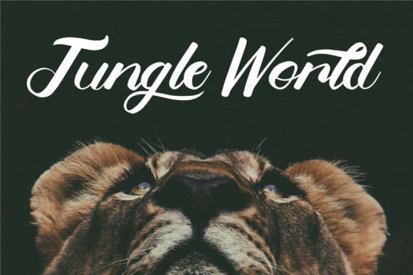 Belligerent Font - Preview 1