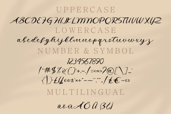 Agatha Font - Preview 5