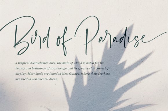 Barrington Font - Preview 6