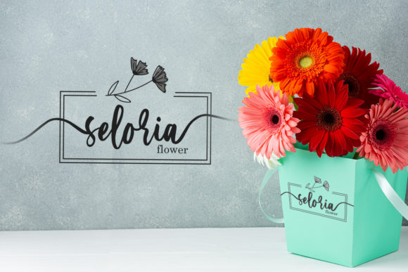 Serenity Script Font PNG with transparent background - Preview 1