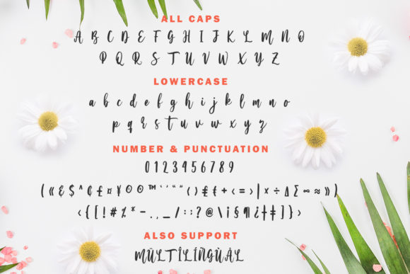 Serenity Script Font PNG with transparent background - Preview 5