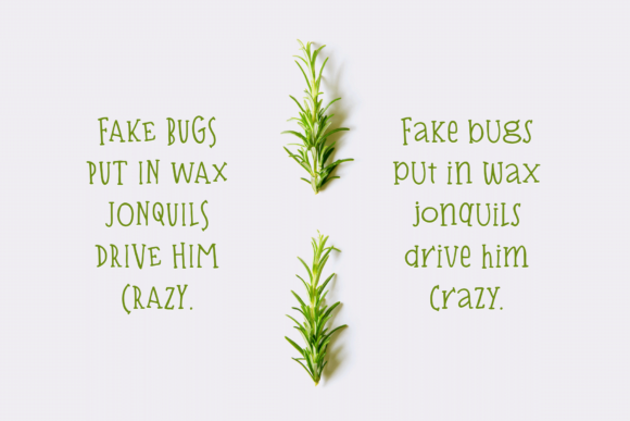 Bisquit Font - Preview 6