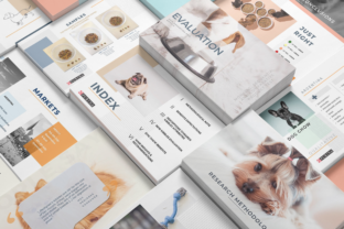Clean PowerPoint Presentation