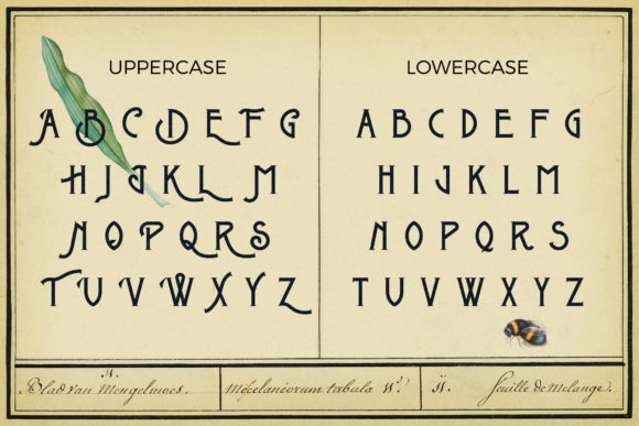 Metrobrew Font PNG with transparent background - Preview 3