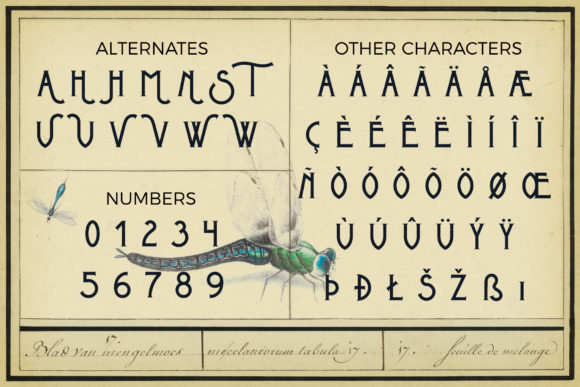 Metrobrew Font PNG with transparent background - Preview 4