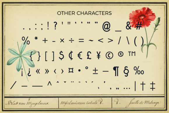 Metrobrew Font PNG with transparent background - Preview 5