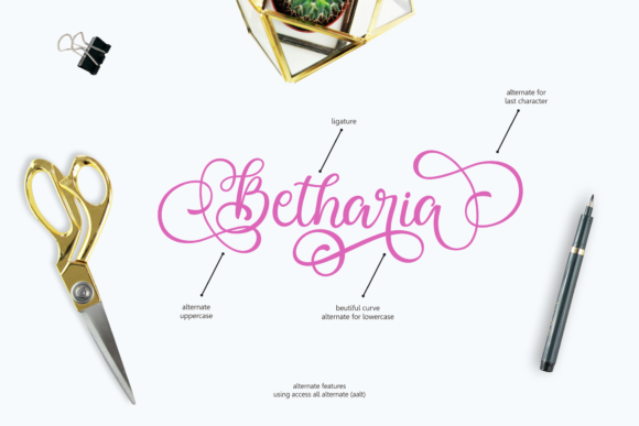 Ballita Script Font - Preview 1
