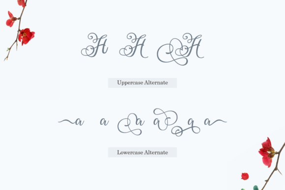Ballita Script Font - Preview 4