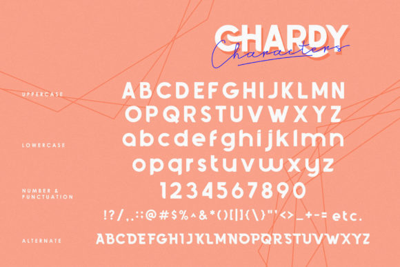 Chardy Font - Preview 6