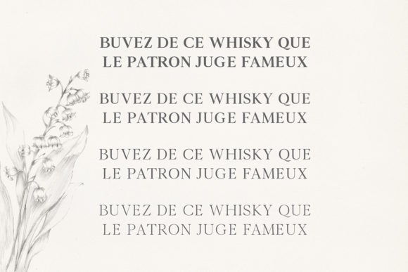 Denish Font - Preview 5