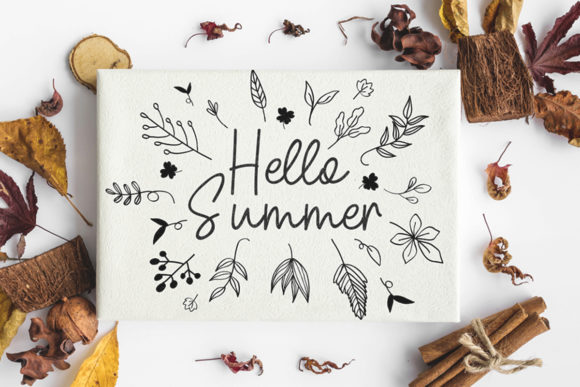 Amelia Script Font - Preview 5