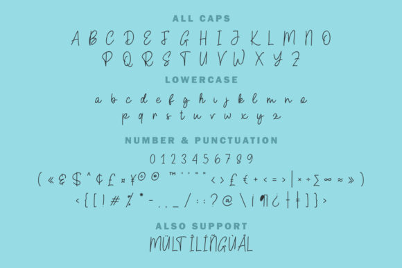 Amelia Script Font - Preview 6