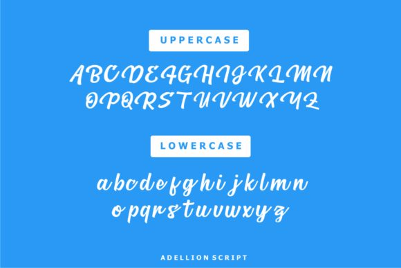 Adellion Font - Preview 1