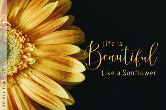 Audrey Font - Preview 1