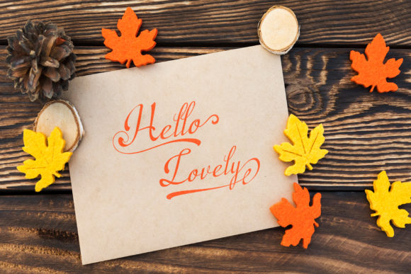 Salmelia Font PNG with transparent background - Preview 1
