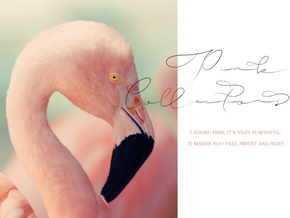 Efothyro Font PNG with transparent background - Preview 3