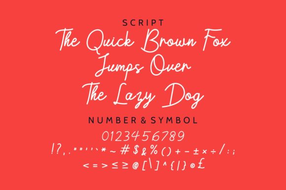 Belagiana Flowers Duo Font - Preview 3