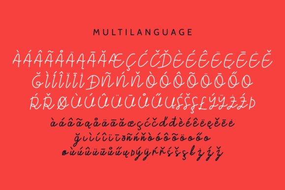 Belagiana Flowers Duo Font - Preview 5