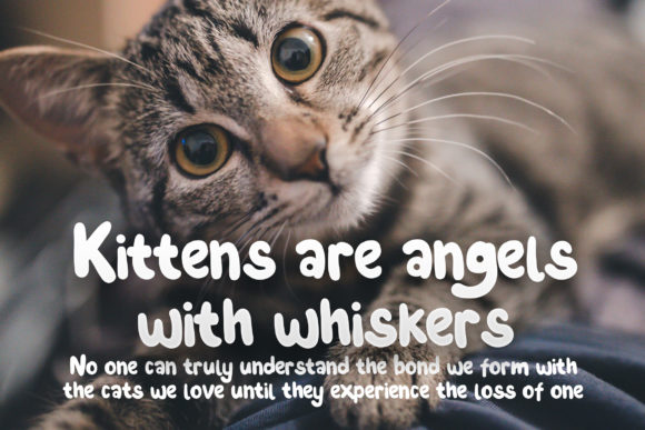 Miao Sandalo Font PNG with transparent background - Preview 2