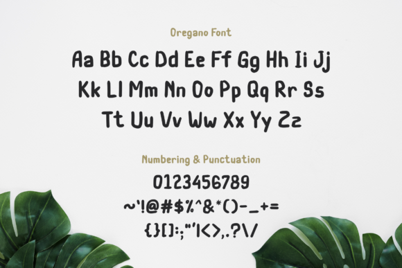 Oregano Font PNG with transparent background - Preview 6