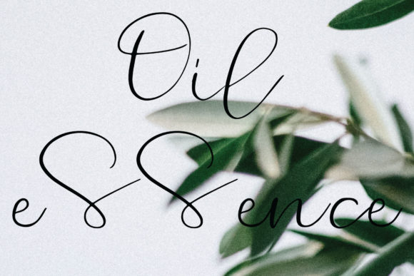 Cinnamon Font - Preview 2