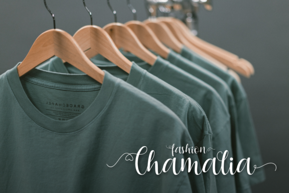 Chashina Font - Preview 1