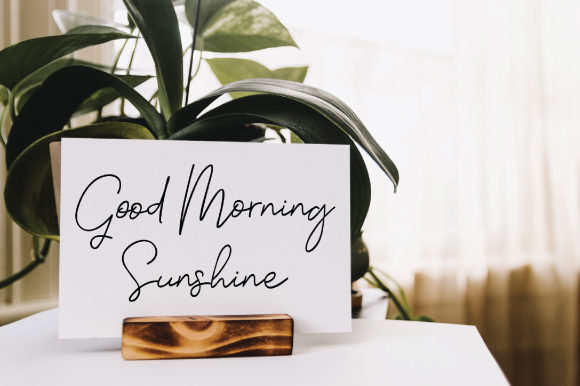 Shadows Font PNG with transparent background - Preview 1