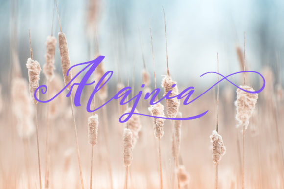 Amayda Font - Preview 1