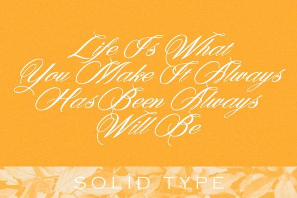 Denita Font - Preview 3