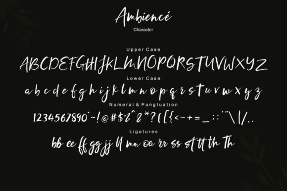 Ambience Font - Preview 6