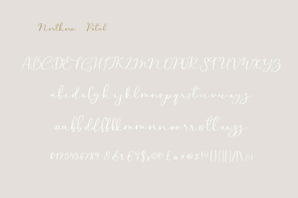Northern Petal Font PNG with transparent background - Preview 1