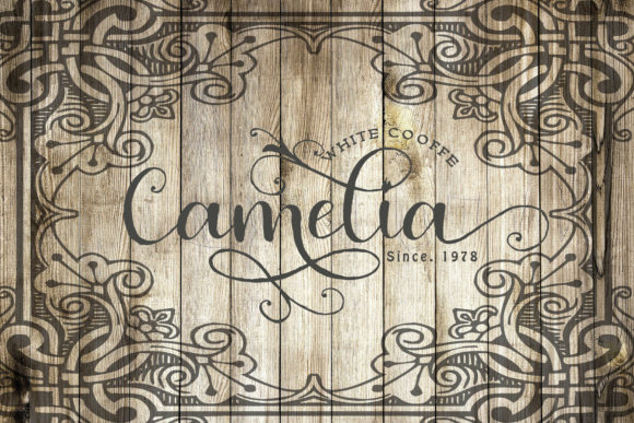 Andrila Font - Preview 3
