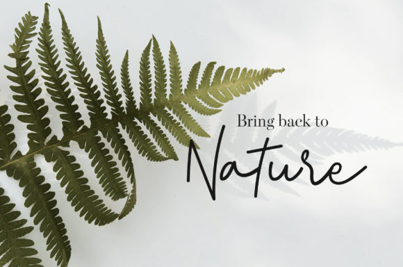 Delilah Font - Preview 2